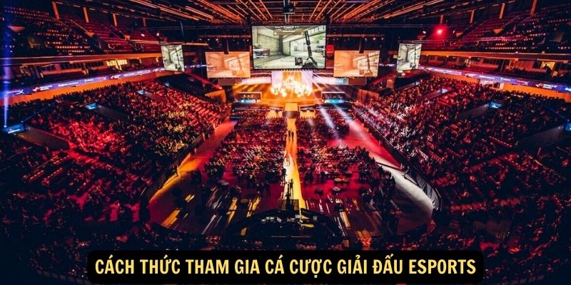 Cách thức tham gia cá cược giải đấu Esports