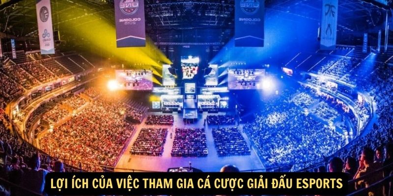 Lợi ích của việc tham gia cá cược giải đấu Esports